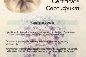 Каролина 3